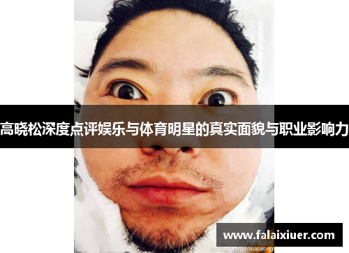 高晓松深度点评娱乐与体育明星的真实面貌与职业影响力